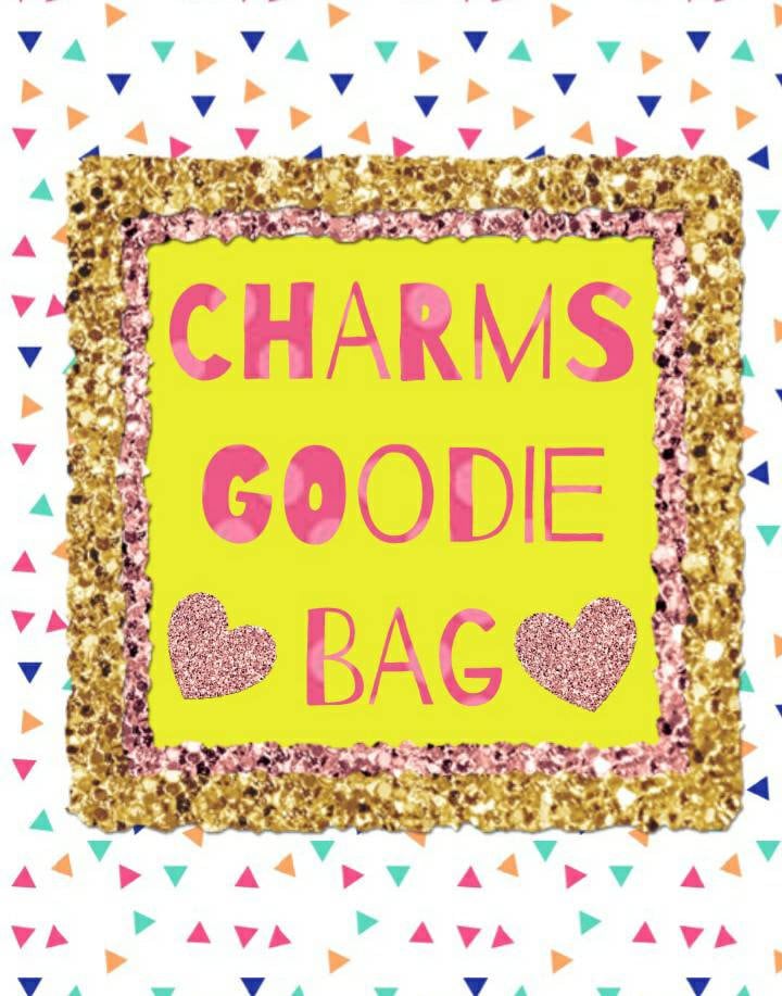 Kawaii charm goodie bag / polymer clay charms / kawaii food charms / kawaii food jewelry / charm goody bag / charm grab bag