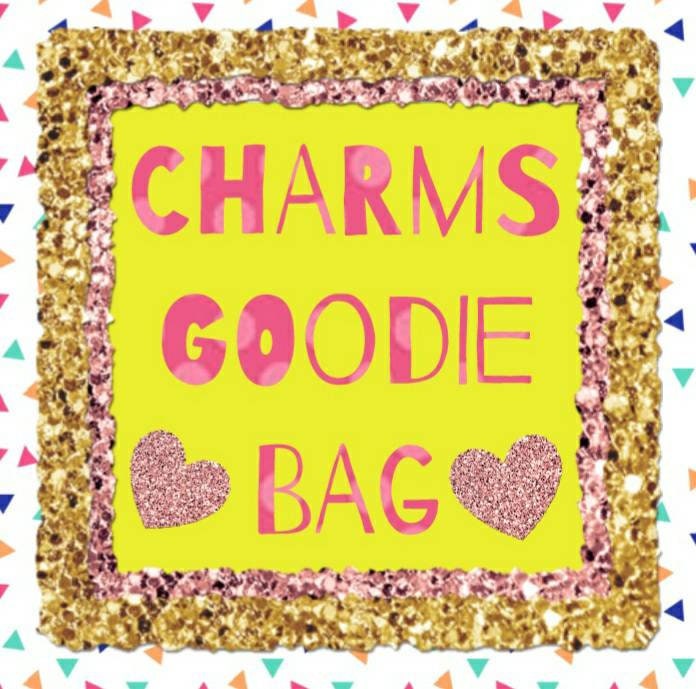 Kawaii charm goodie bag / polymer clay charms / kawaii food charms / kawaii food jewelry / charm goody bag / charm grab bag